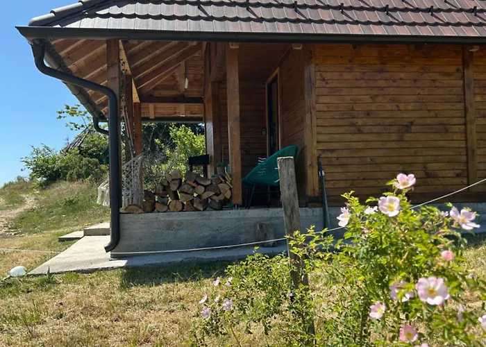 Brvnare In * Sekulic